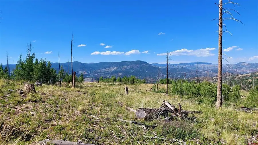 535 Elk Ct, South Fork, CO 81154 - #3
