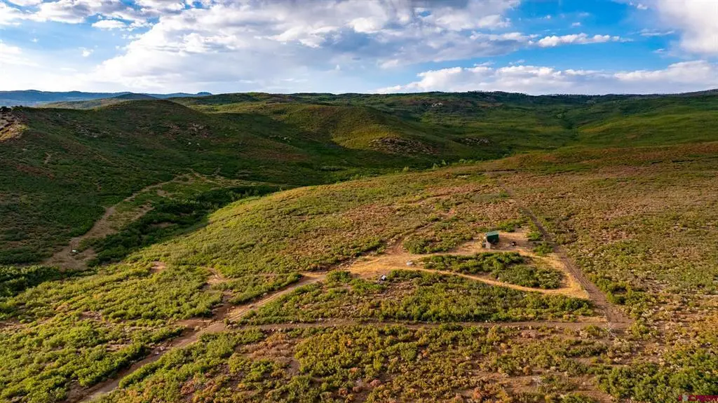 000 Currant Creek Road, Cedaredge, CO 81413 - #1