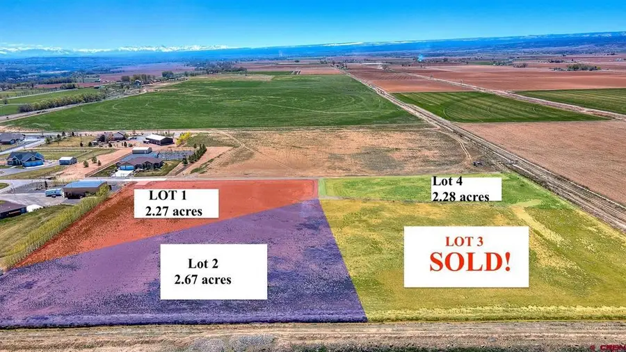 Lot 2 Chantelle Lane, Delta, CO 81416 - #2