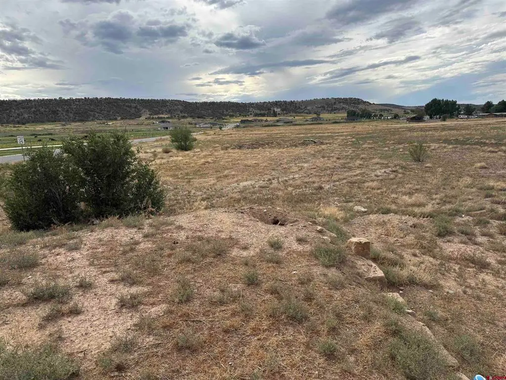 68671 Vernal Road, Montrose, CO 81403 - #1