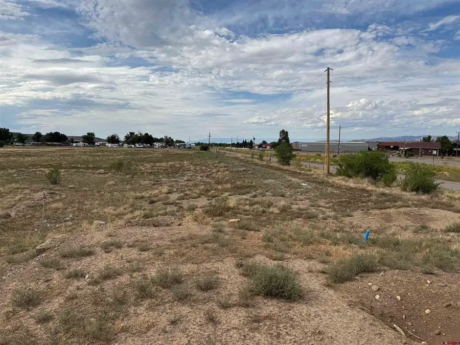68671 Vernal Road, Montrose, CO 81403 - #3