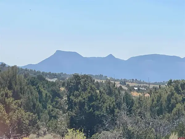 Lot 3 Road 25, Dolores, CO 81323