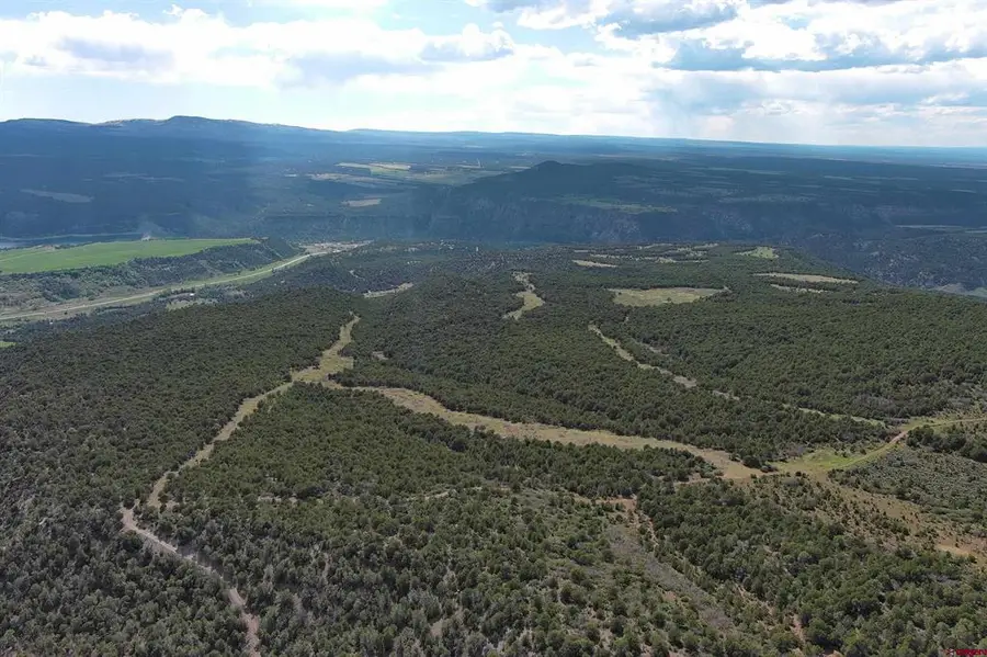 TBD County Road 4, Ridgway, CO 81432 - #2