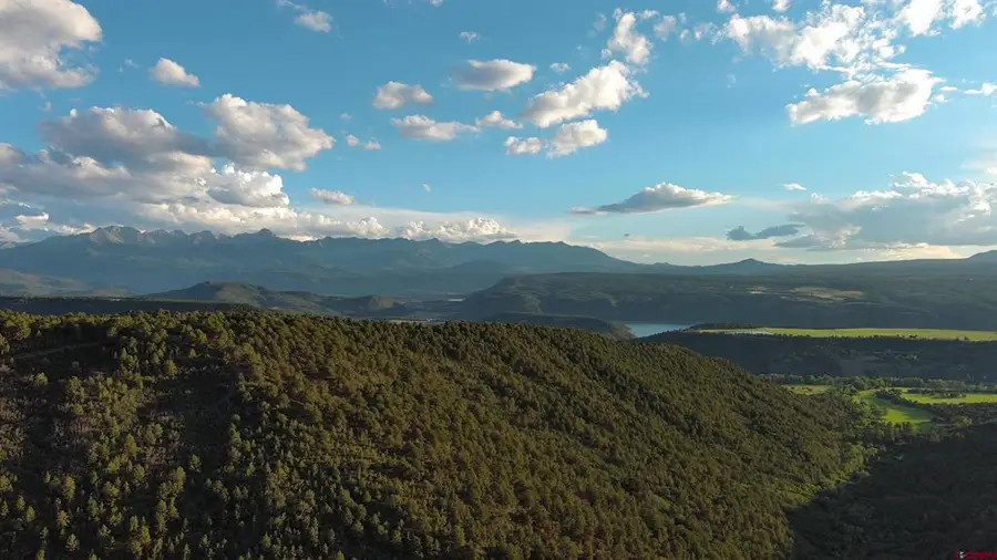 TBD County Road 4, Ridgway, CO 81432 - #3