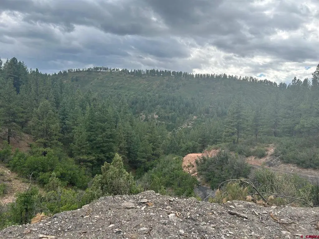 17235 Hwy 160, Durango, CO 81301 - #1