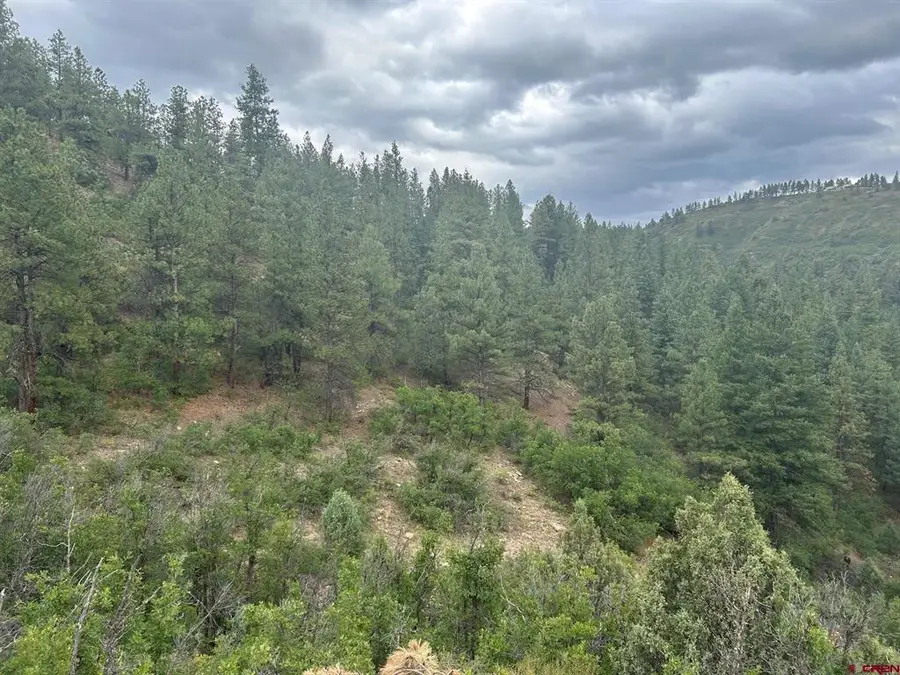 17235 Hwy 160, Durango, CO 81301 - #2