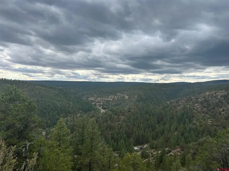 17235 Hwy 160, Durango, CO 81301 - #3