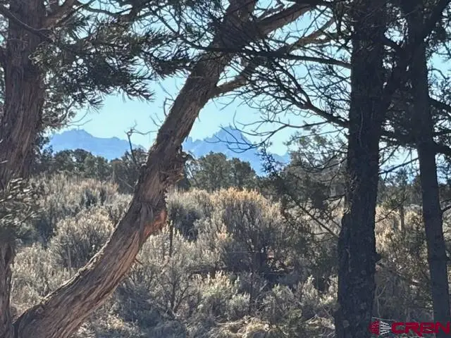 Lot 1 County Road 22b, Montrose, CO 81403 - #1