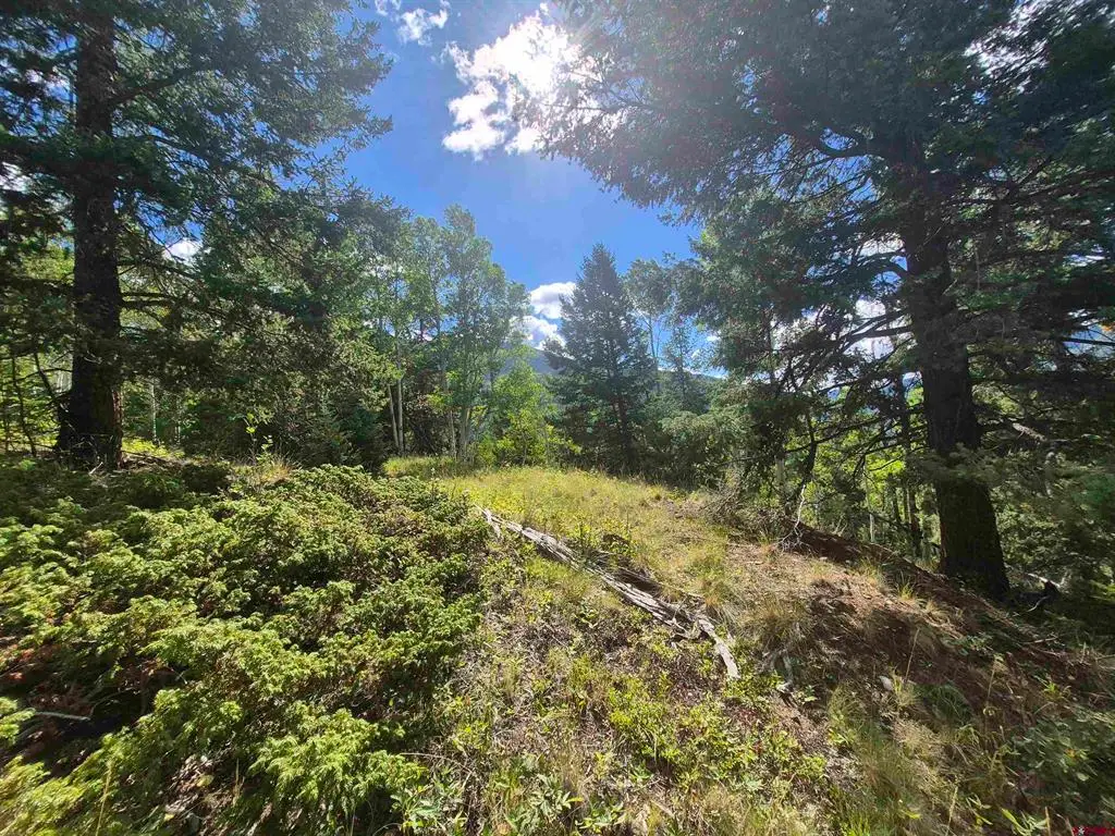 Blk 89 Lots 4-6, Jasper, CO 81144 - #1