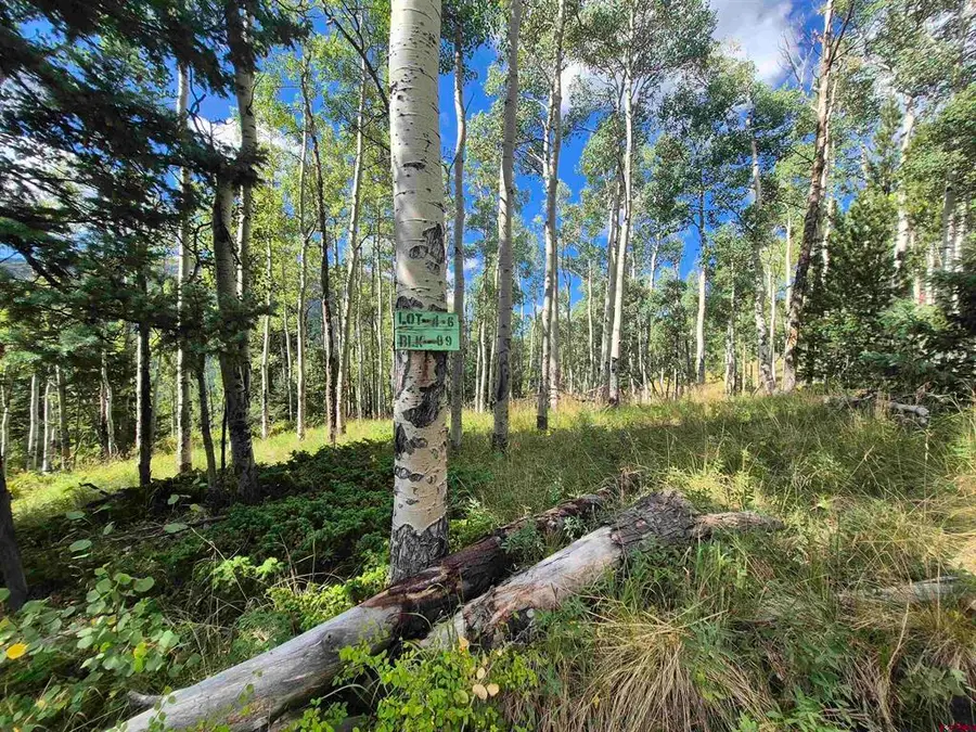 Blk 89 Lots 4-6, Jasper, CO 81144 - #3