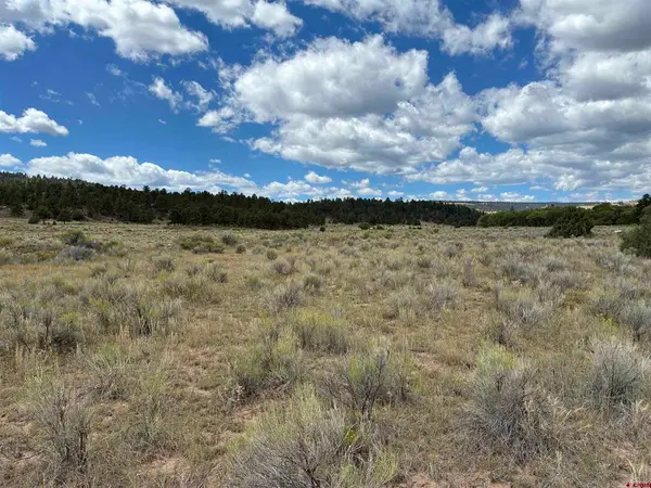 TBD Conejos River Trails, Antonito, CO 81120
