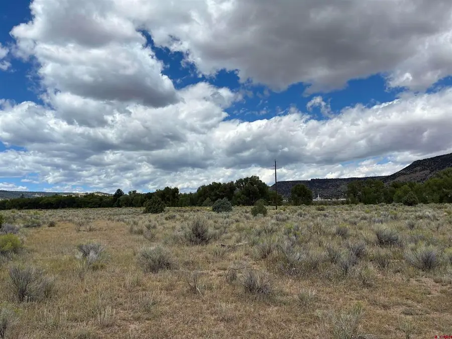 TBD Conejos River Trails, Antonito, CO 81120 - #2