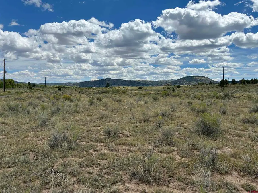 TBD Conejos River Trails, Antonito, CO 81120 - #3