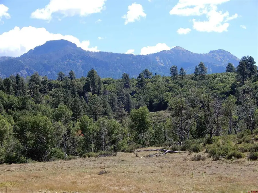 775 Banded Peaks Drive, Pagosa Springs, CO 81147 - #3
