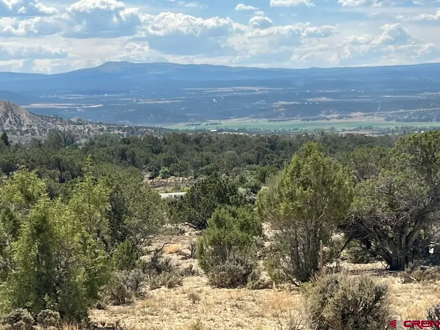 TBD Buckhorn Road, Montrose, CO 81403 - #2