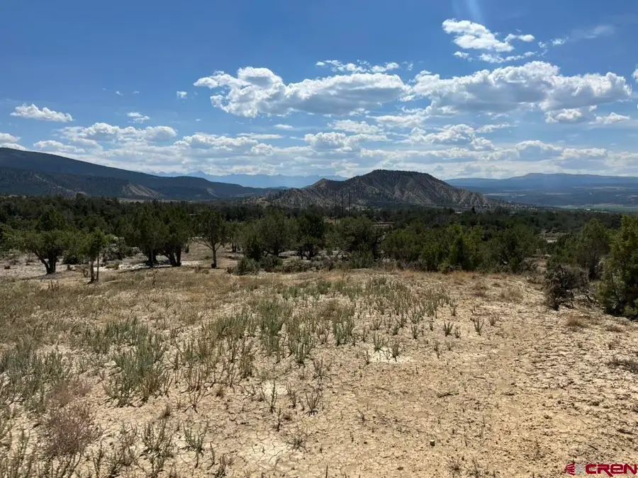TBD Buckhorn Road, Montrose, CO 81403 - #3