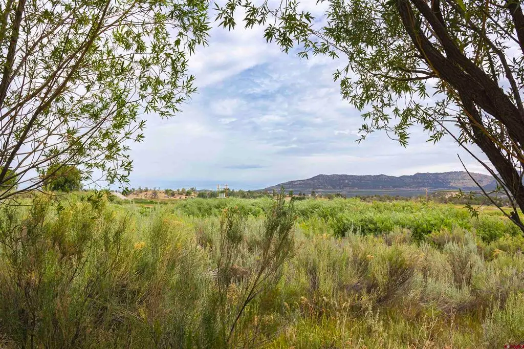 x Cox Circle, Ignacio, CO 81137 - #1