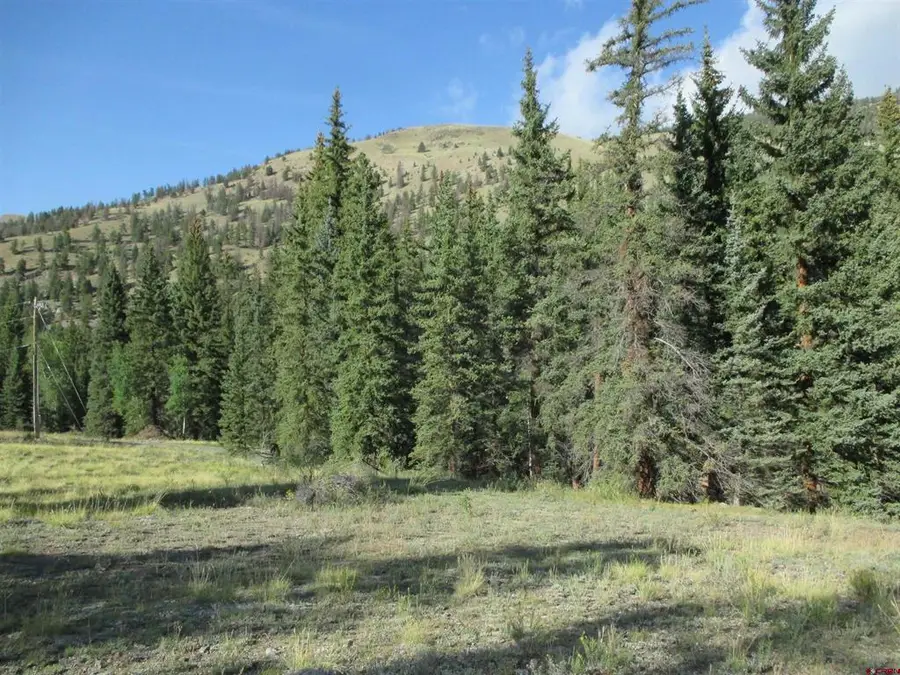 2500 S Highway 149, Lake City, CO 81235 - #3