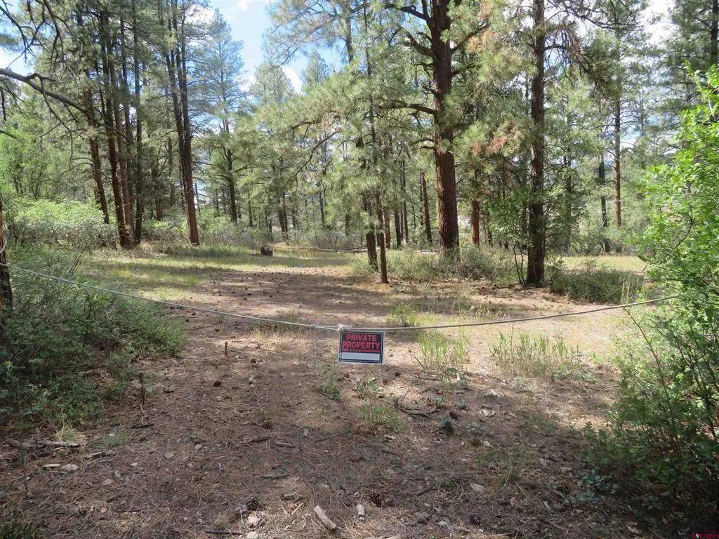 706 Hilltop Drive, Pagosa Springs, CO 81147 - #1