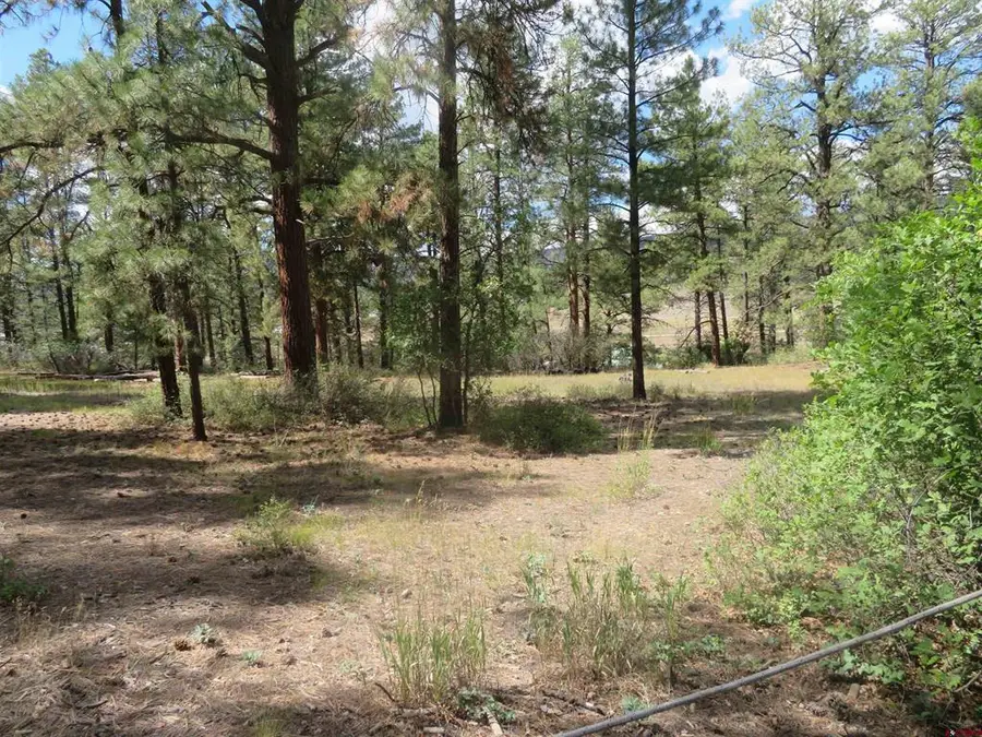706 Hilltop Drive, Pagosa Springs, CO 81147 - #2