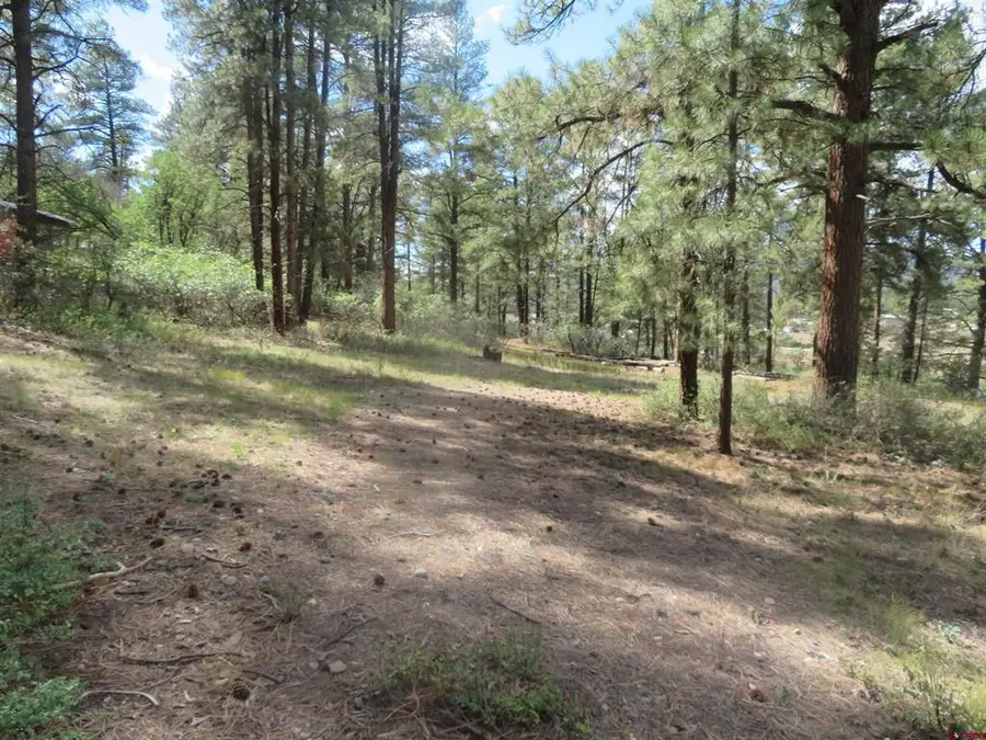 706 Hilltop Drive, Pagosa Springs, CO 81147 - #3