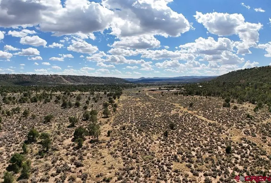 10594 Cr 213, Durango, CO 81303 - #3