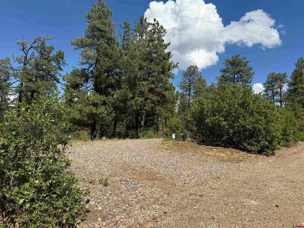 93 & 127 Careys Court, Pagosa Springs, CO 81147 - #1
