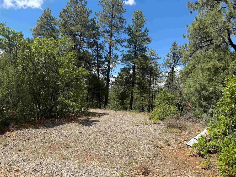 93 & 127 Careys Court, Pagosa Springs, CO 81147 - #3