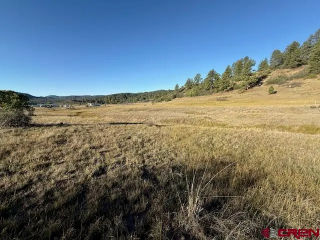 980 Catchpole Drive, Pagosa Springs, CO 81147 - #1