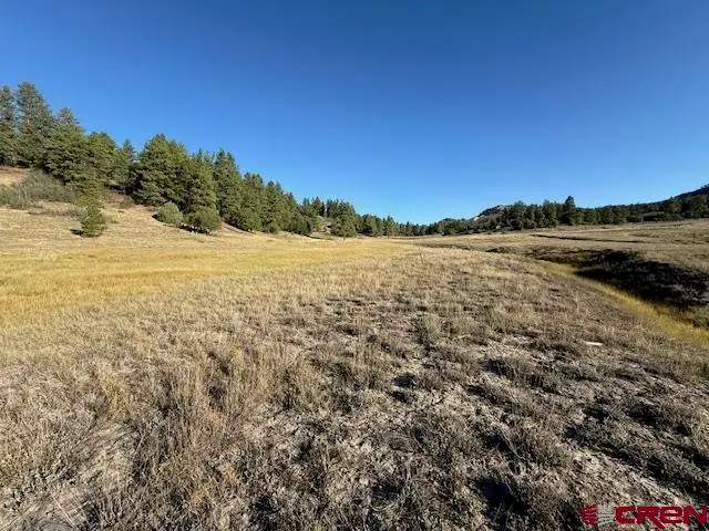 980 Catchpole Drive, Pagosa Springs, CO 81147 - #2