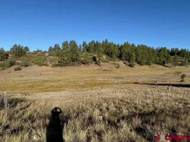980 Catchpole Drive, Pagosa Springs, CO 81147 - #3