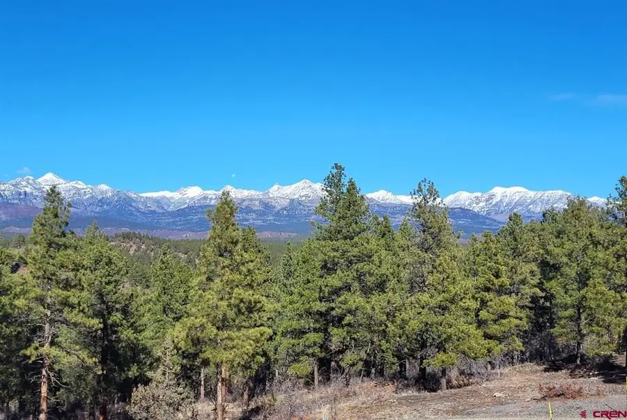 407 Corsair Ranch Place, Pagosa Springs, CO 81147 - #3