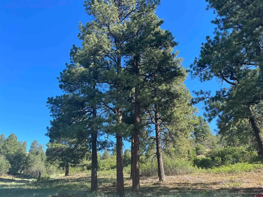 1288 Crowley Drive, Pagosa Springs, CO 81147 - #3