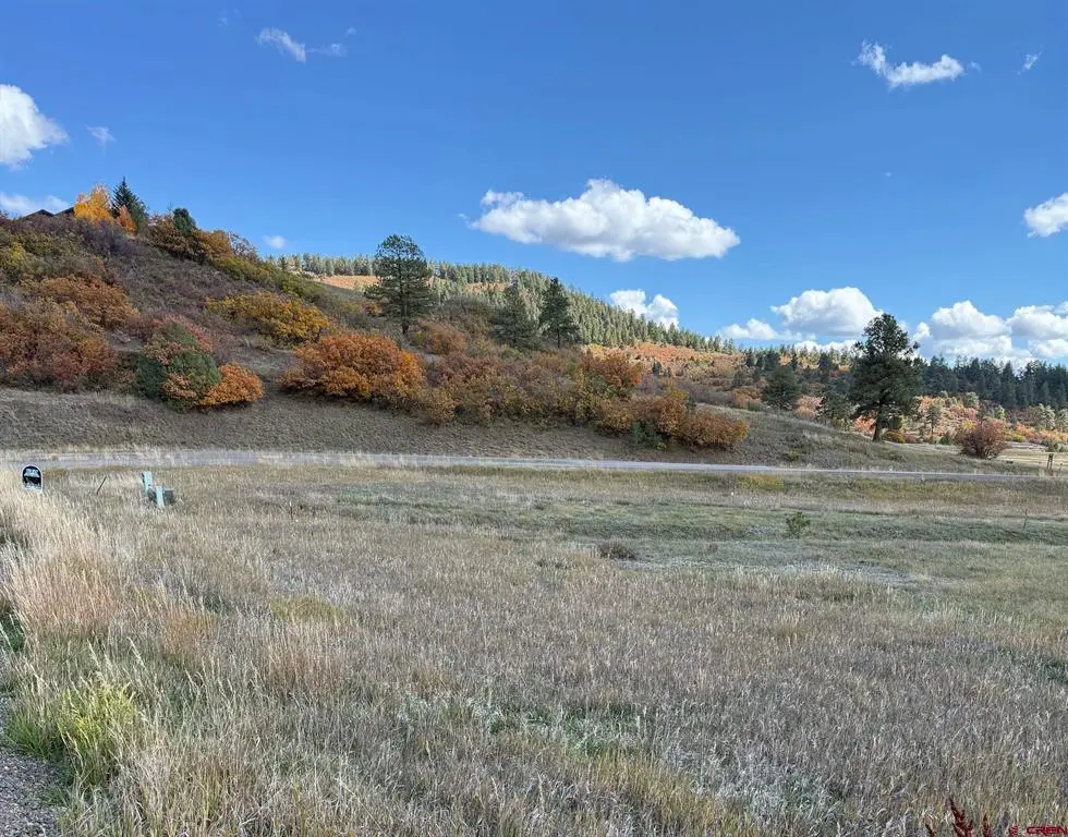 232 Santino Place, Pagosa Springs, CO 81147 - #1