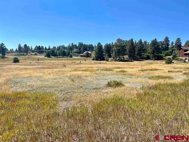 232 Santino Place, Pagosa Springs, CO 81147 - #2