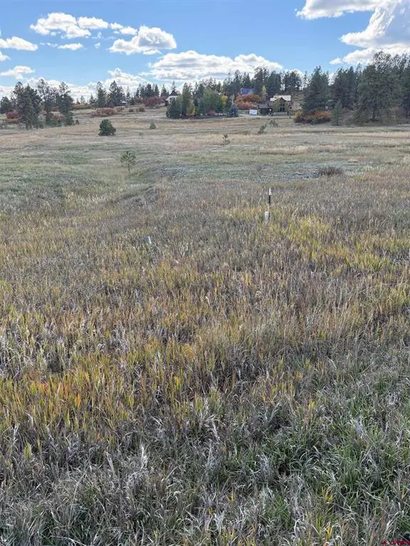 232 Santino Place, Pagosa Springs, CO 81147 - #3