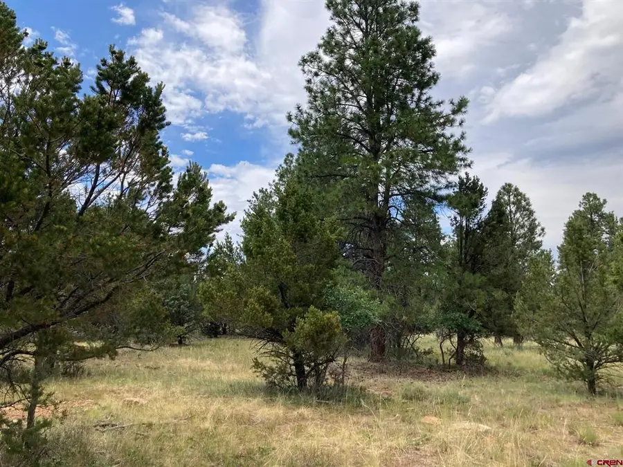 Lot 422 (TBD) South Badger Trail, Ridgway, CO 81432 - #2