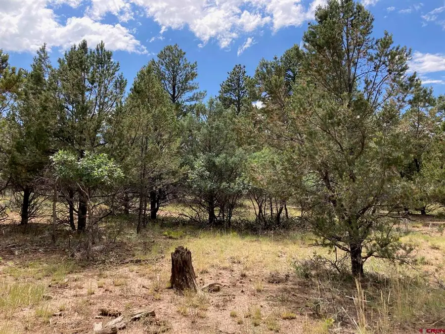 Lot 422 (TBD) South Badger Trail, Ridgway, CO 81432 - #3