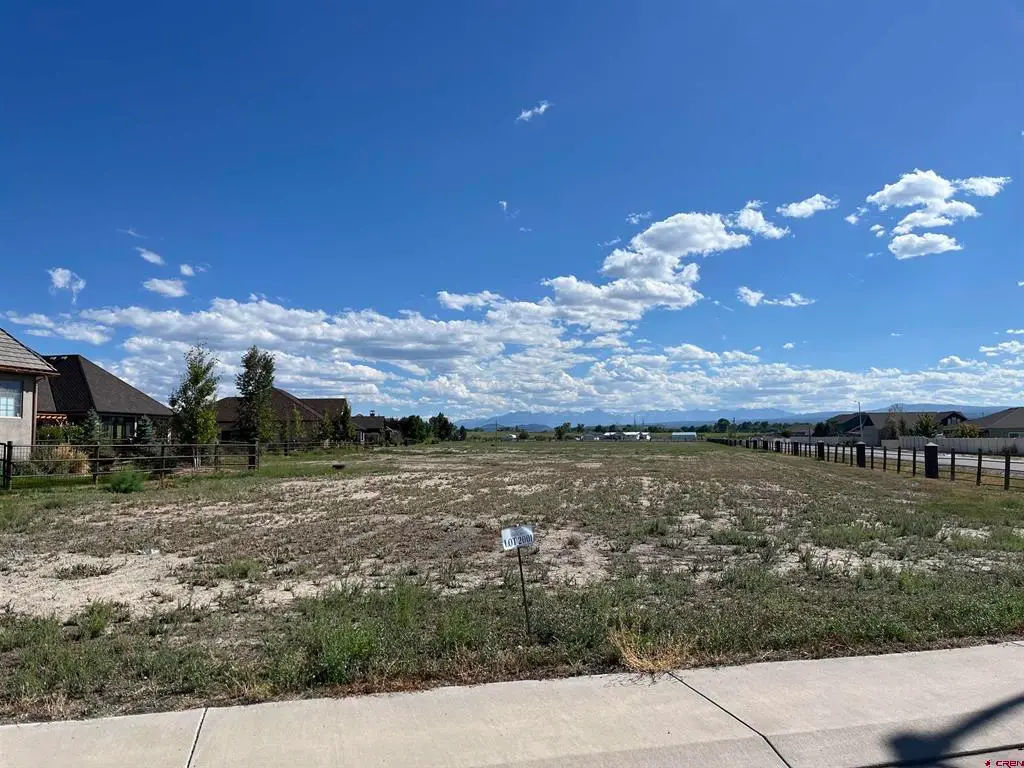 TBD Torrence Drive, Montrose, CO 81401 - #1