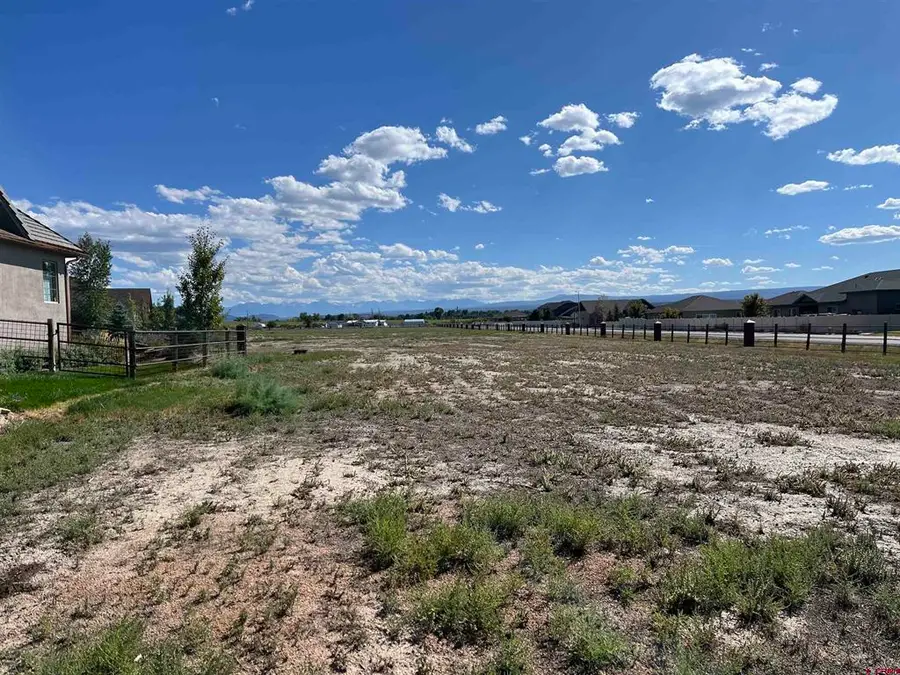 TBD Torrence Drive, Montrose, CO 81401 - #2