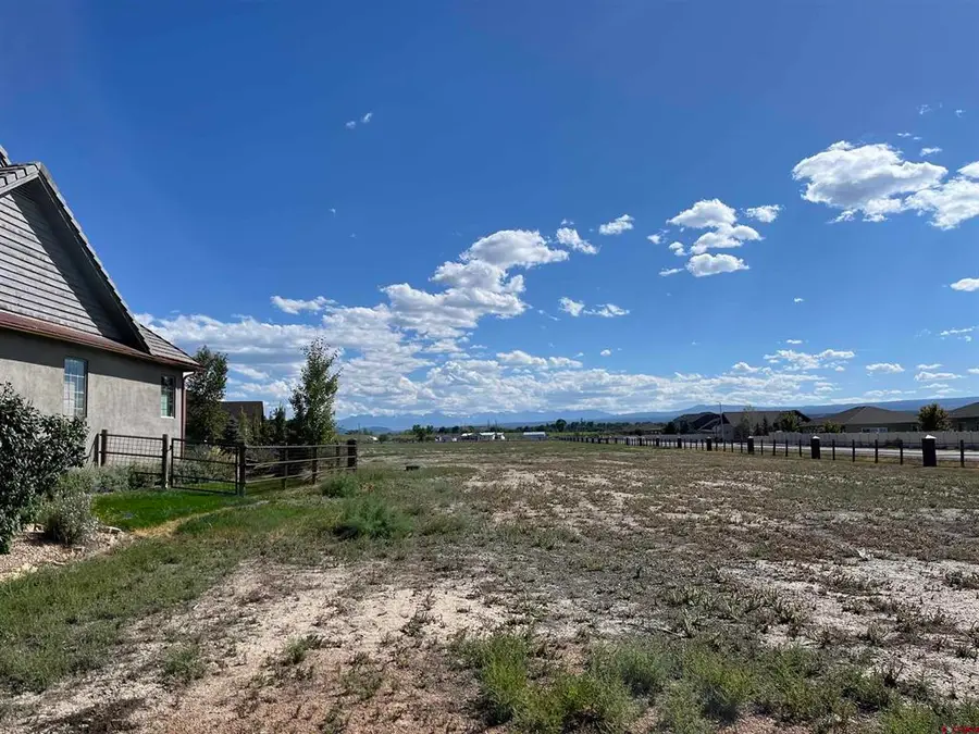 TBD Torrence Drive, Montrose, CO 81401 - #3