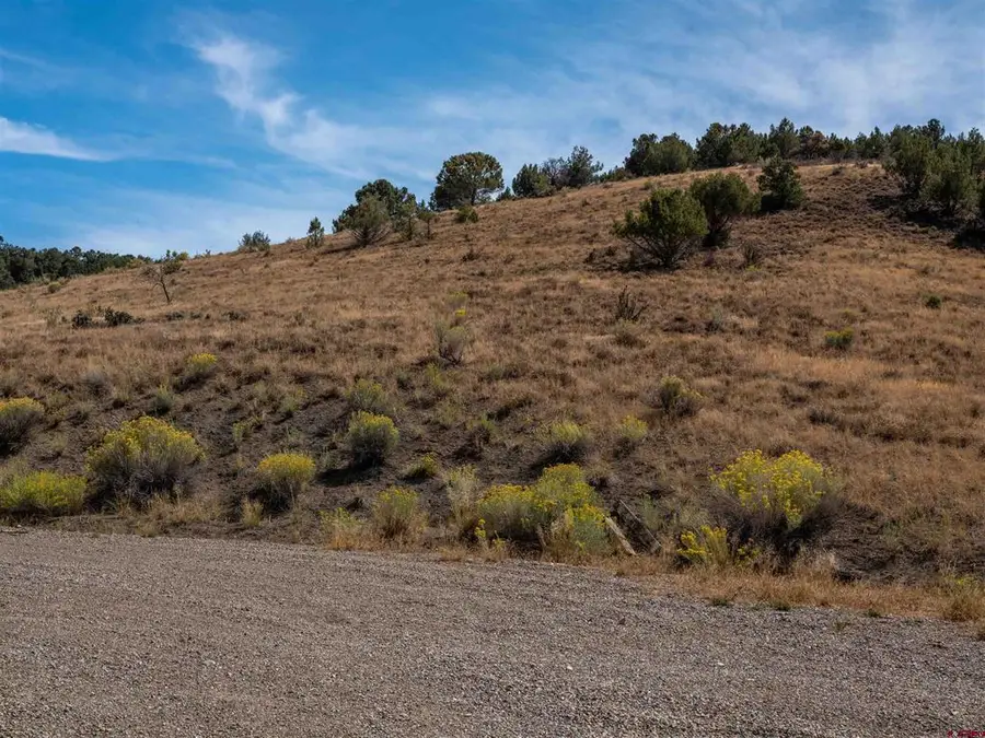 TBD Tbd Road V.5, Dolores, CO 81323 - #3