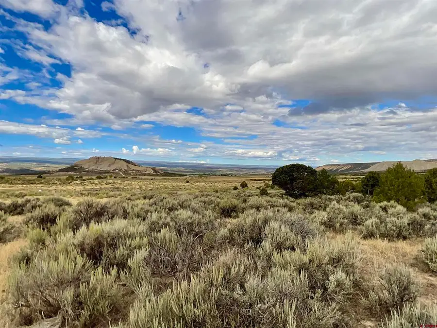 TBD LOT 22 7250 Road, Montrose, CO 81403 - #2