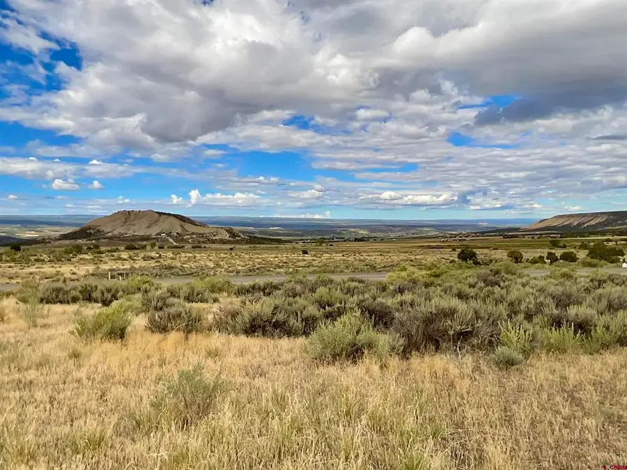TBD LOT 22 7250 Road, Montrose, CO 81403 - #3