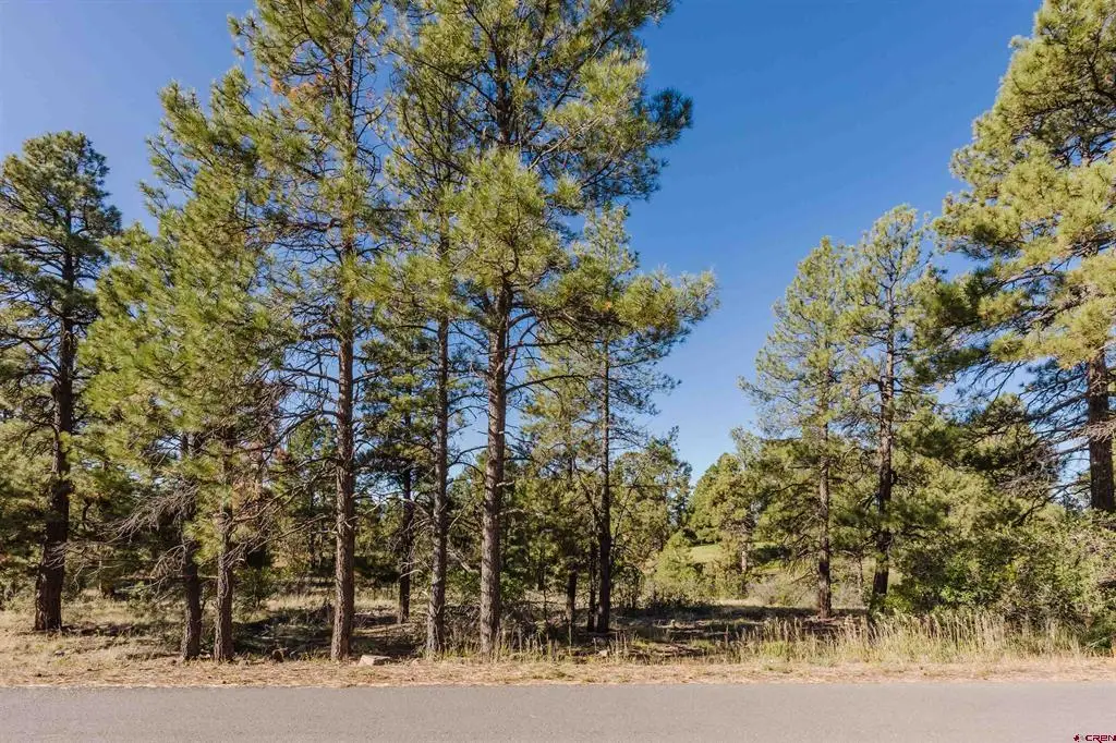 79 E Golf Place, Pagosa Springs, CO 81147 - #1