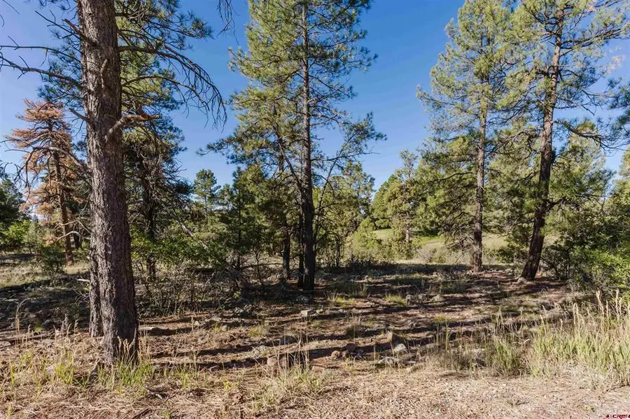 79 E Golf Place, Pagosa Springs, CO 81147 - #2