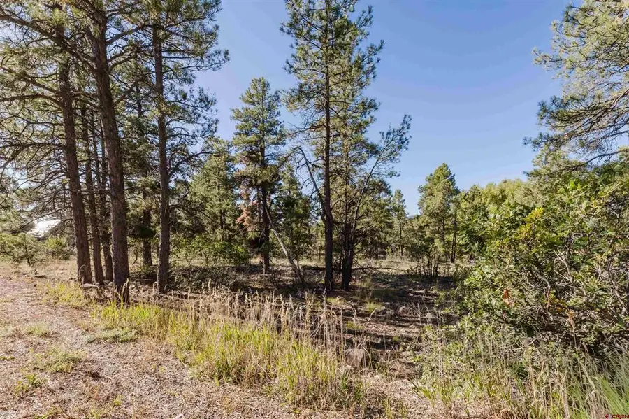79 E Golf Place, Pagosa Springs, CO 81147 - #3