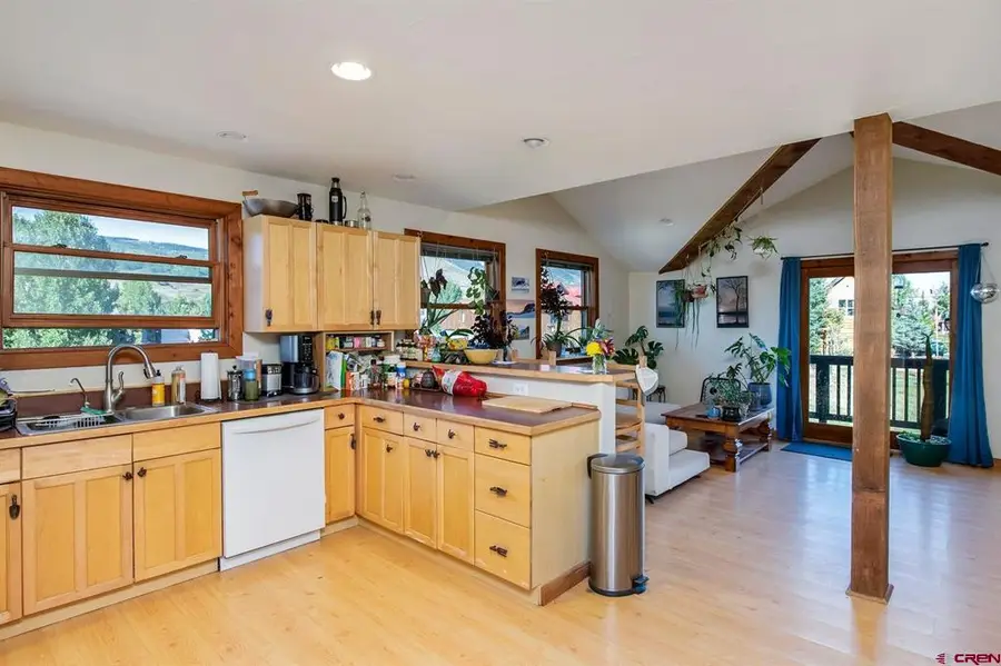81 Gillaspey Avenue, Crested Butte, CO 81224 - #3