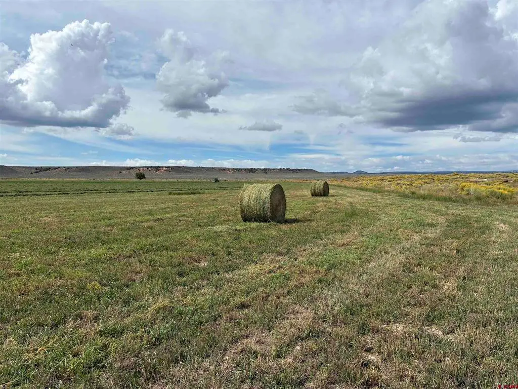 TBD County Road 12.5, Antonito, CO 81120 - #1