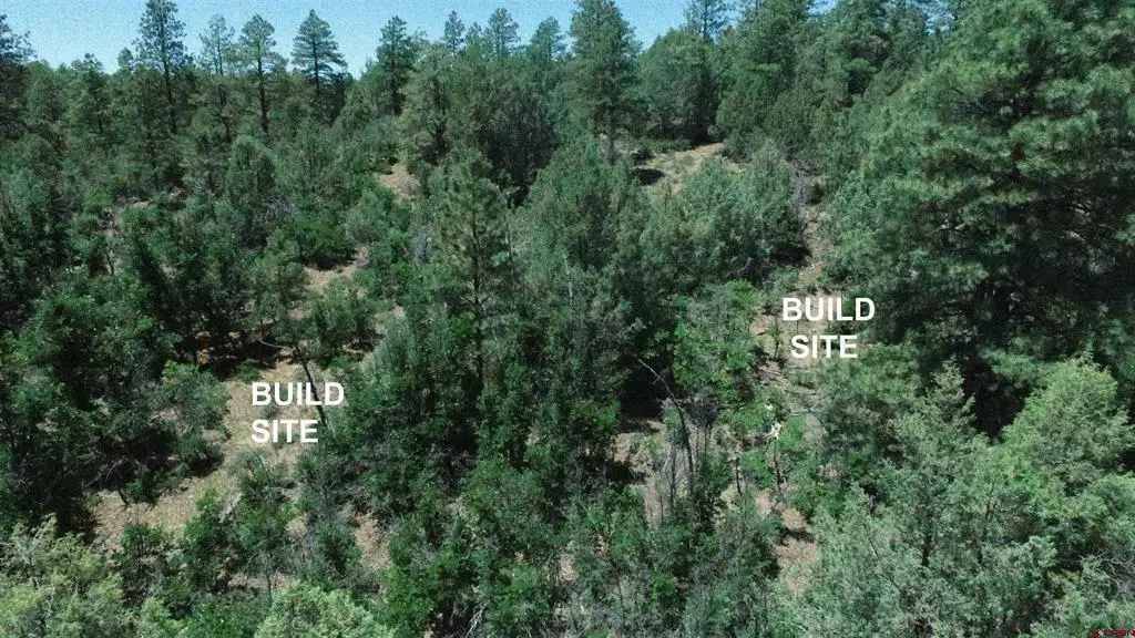 2868/2892 Crooked Road, Pagosa Springs, CO 81147 - #1